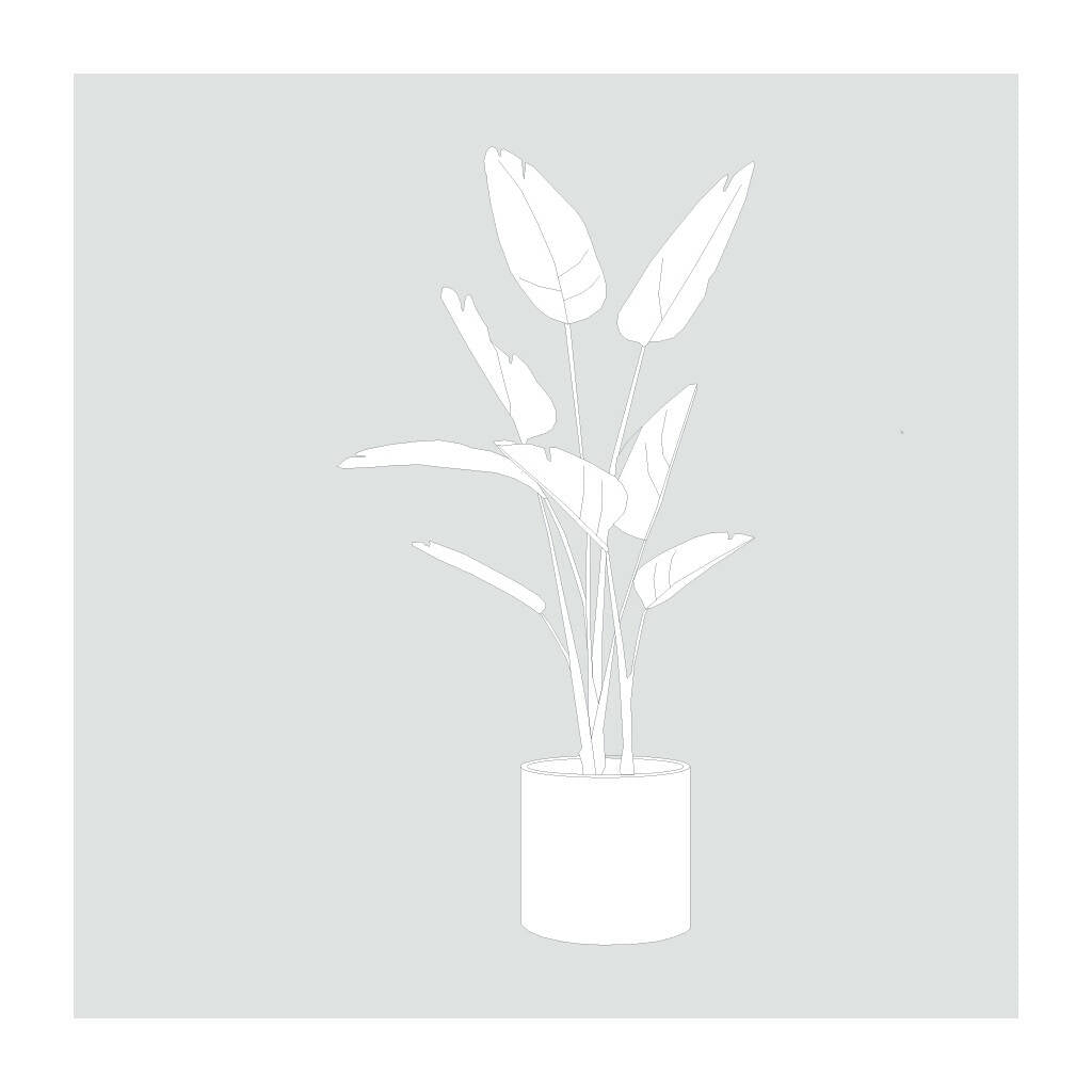Indoor Plants Outline (20 Figures) — cutout pack for architectural visualisation, preview 4 of 4
