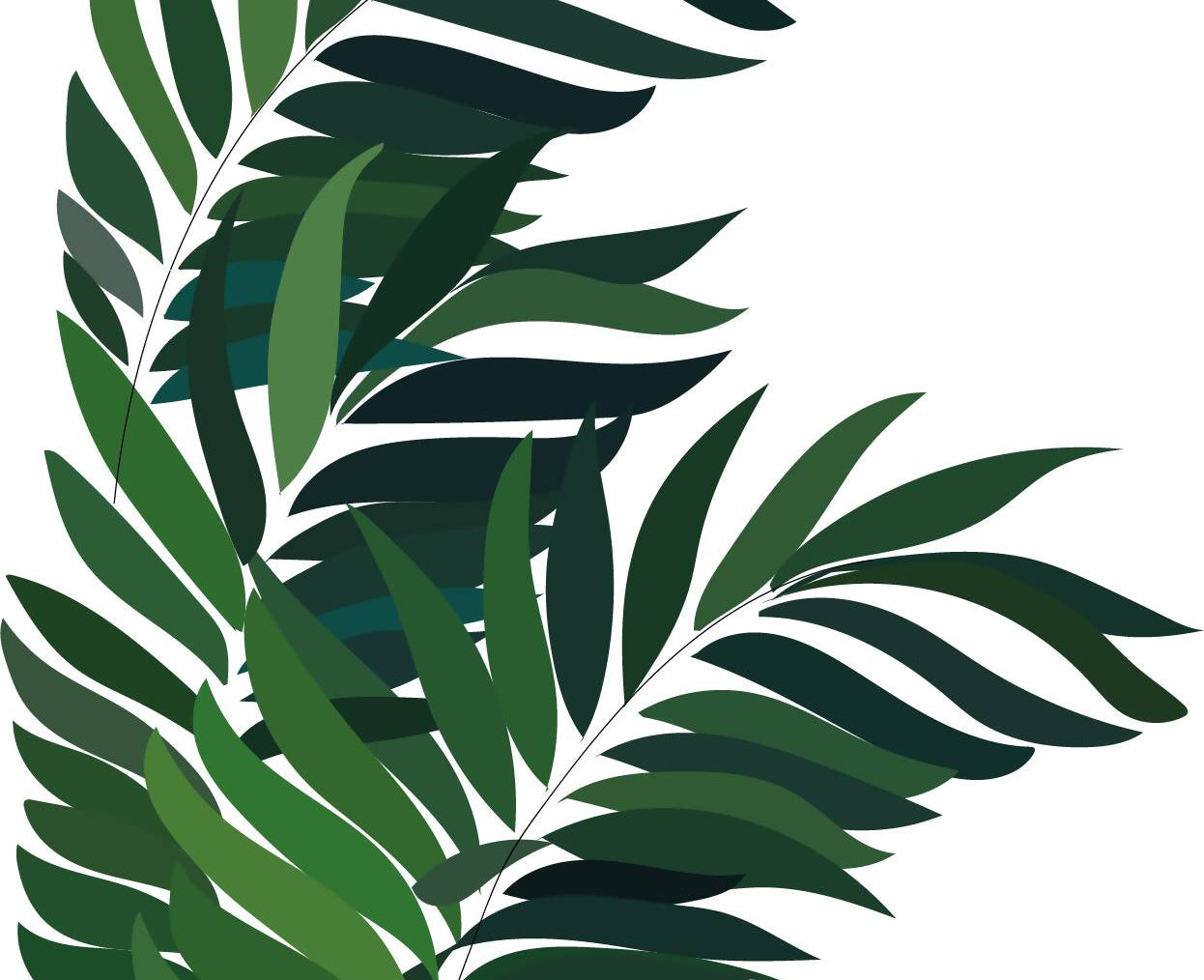 Indoor Plants Pack — cutout pack for architectural visualisation, preview 2 of 9