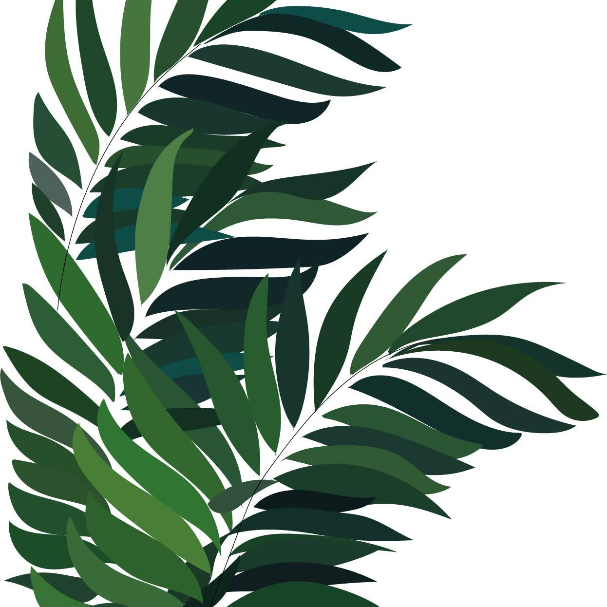 Indoor Plants Pack — cutout pack for architectural visualisation, preview 2 of 9