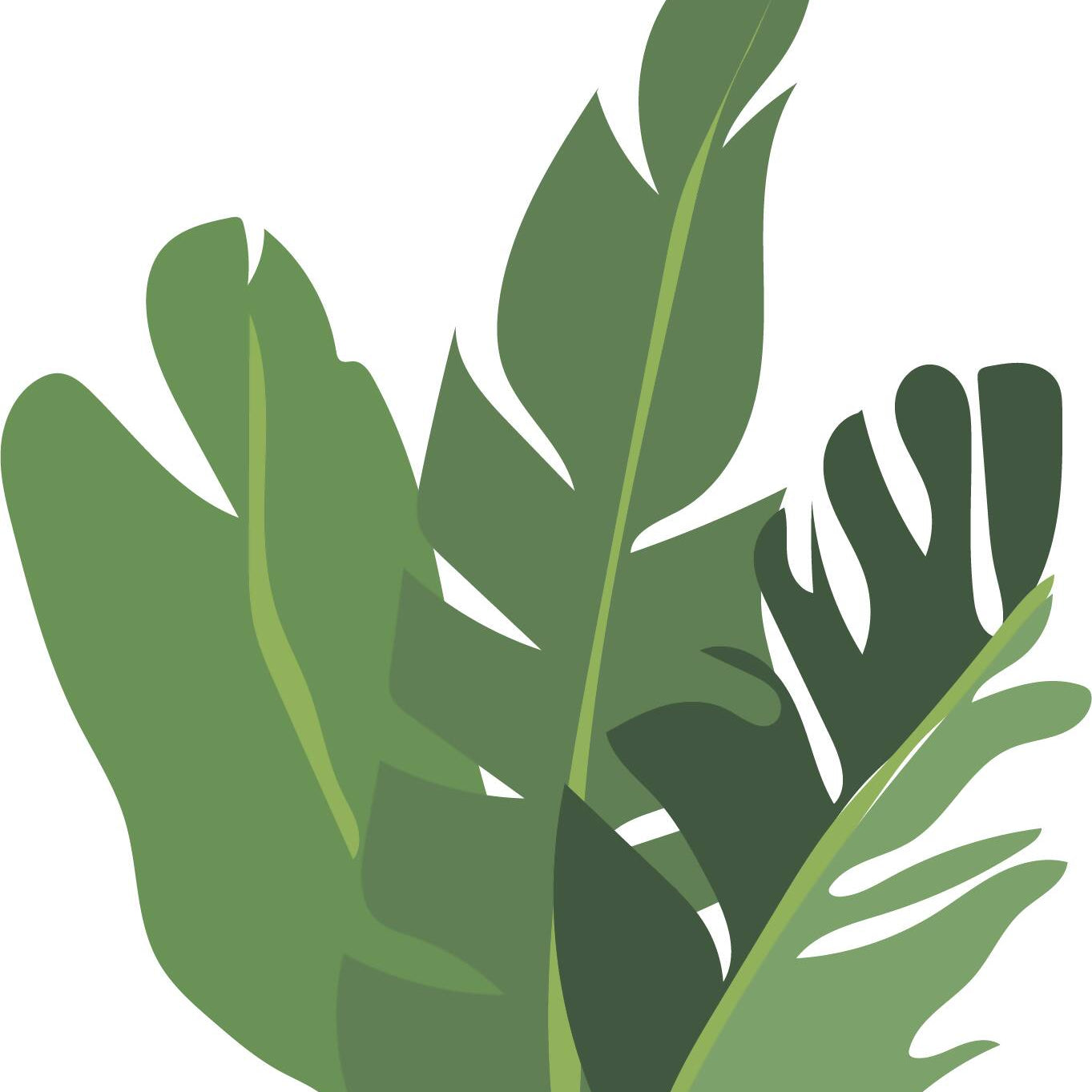 Indoor Plants Pack — cutout pack for architectural visualisation, preview 5 of 9