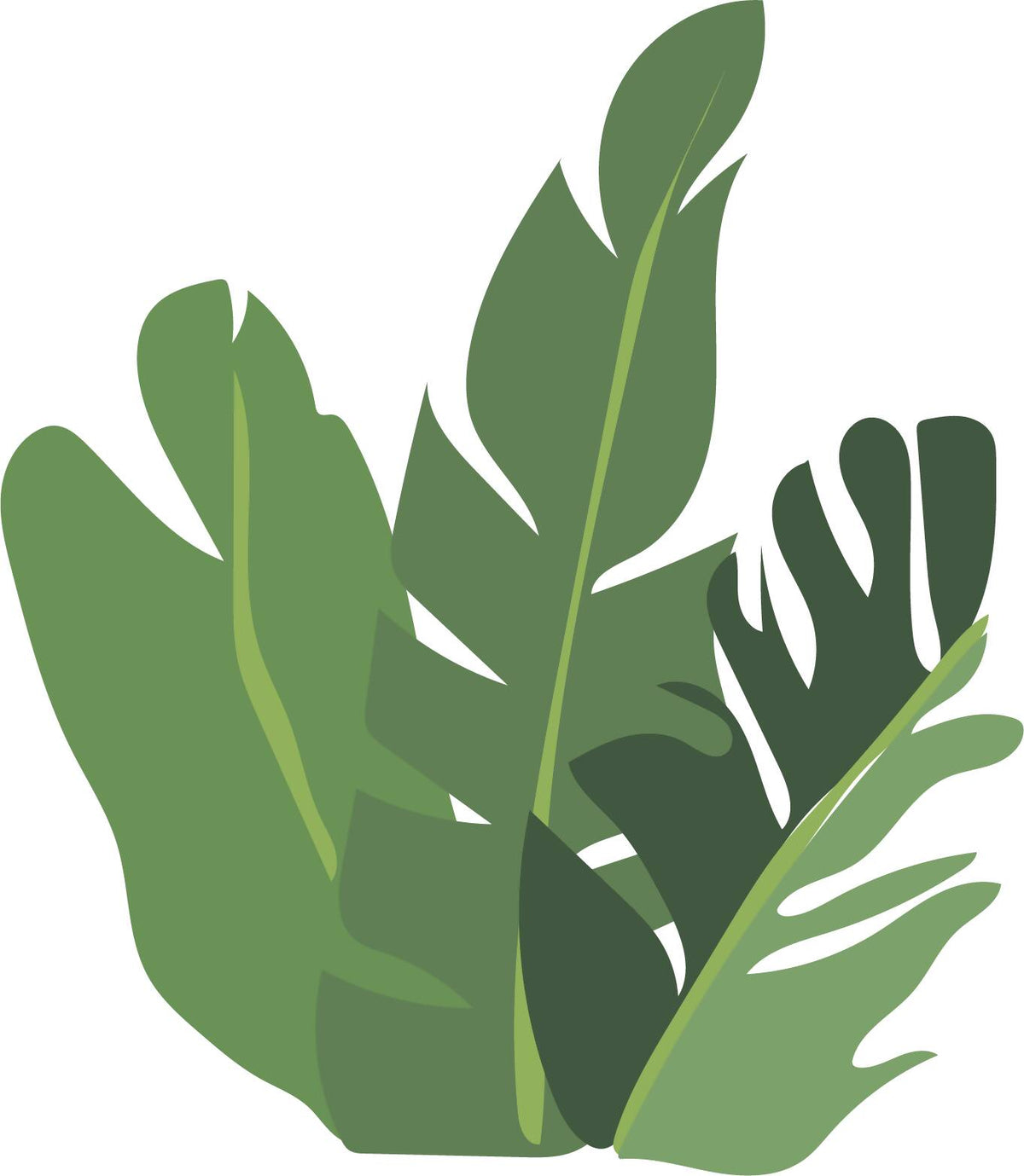 Indoor Plants Pack — cutout pack for architectural visualisation, preview 5 of 9