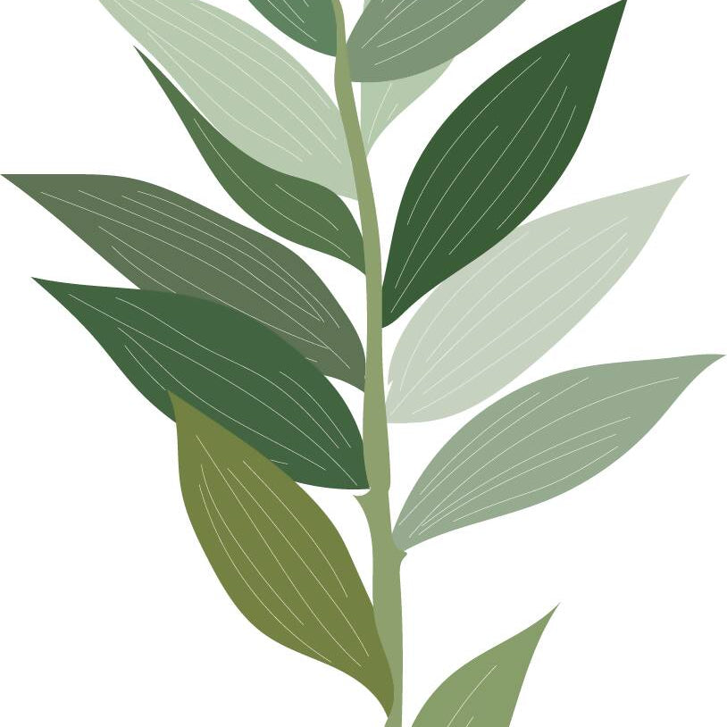 Indoor Plants Pack — cutout pack for architectural visualisation, preview 7 of 9