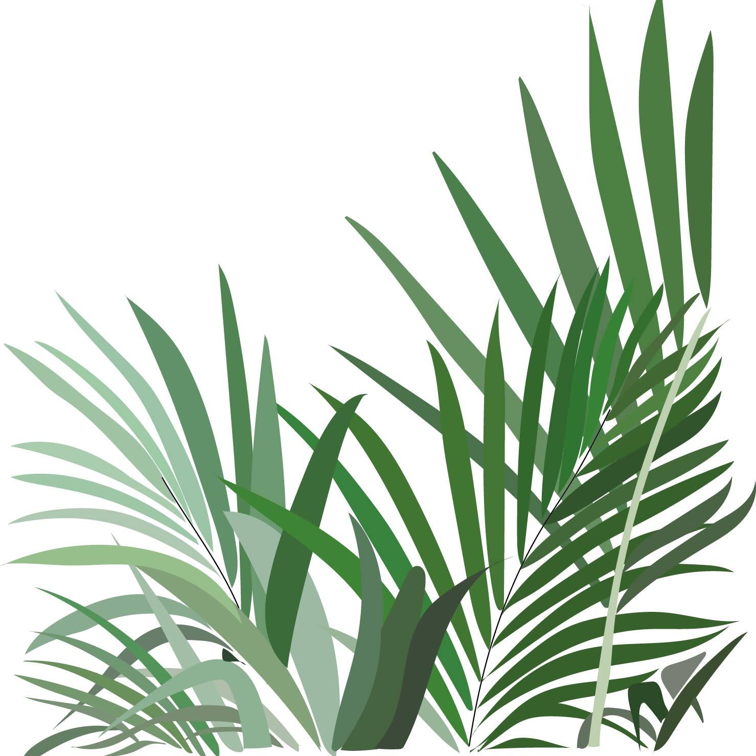 Indoor Plants Pack — cutout pack for architectural visualisation, preview 9 of 9