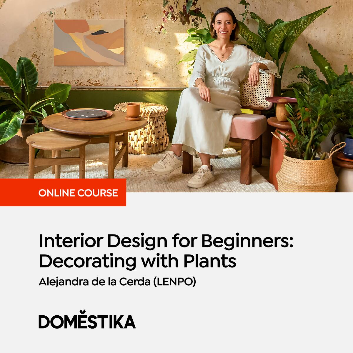 Interior Design for Beginners: Decorating with Plants — video course for architects, preview 2 of 2