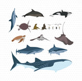 Marine Animals and Birds Pack