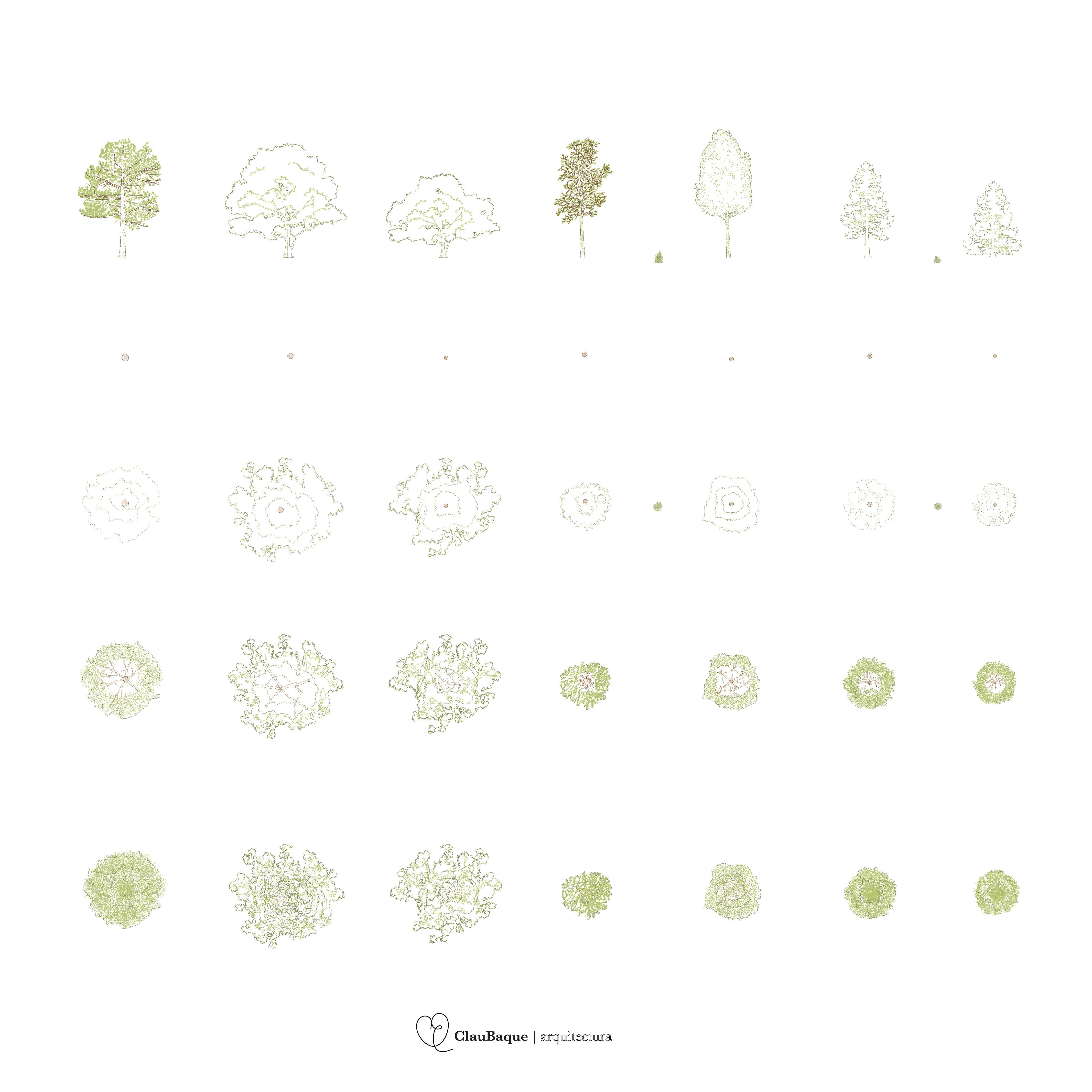 Free Cad Blocks Trees In Plan