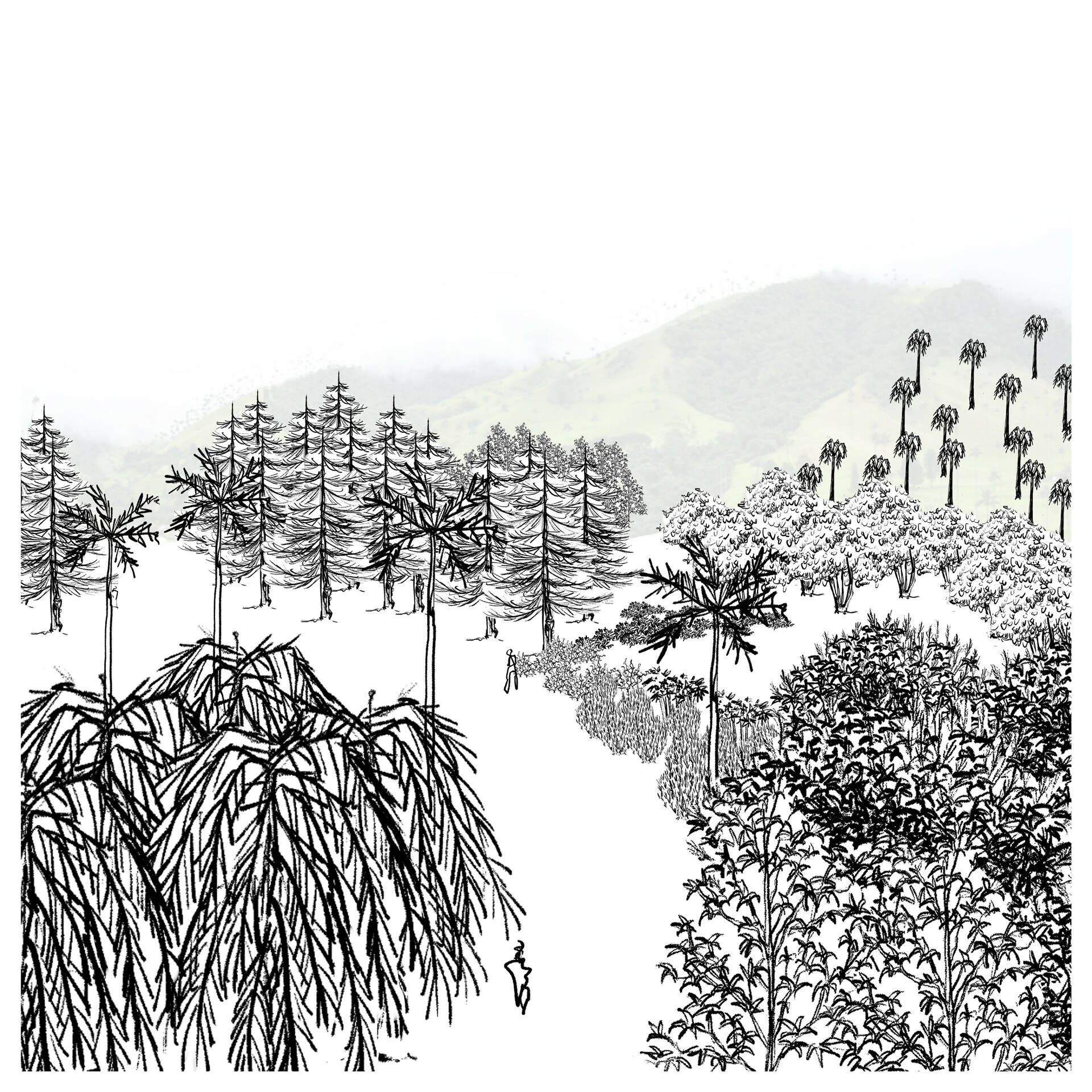 Sample-scene