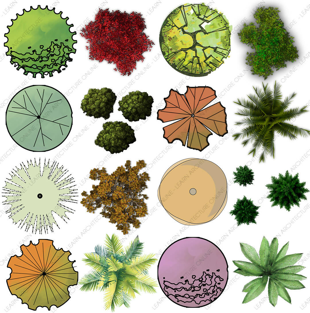 60 Tree Top View Cutouts | Learn Architecture Online