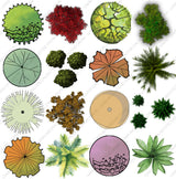 Graphic and Realistic Tree Top View Cutouts (60 PNGs)