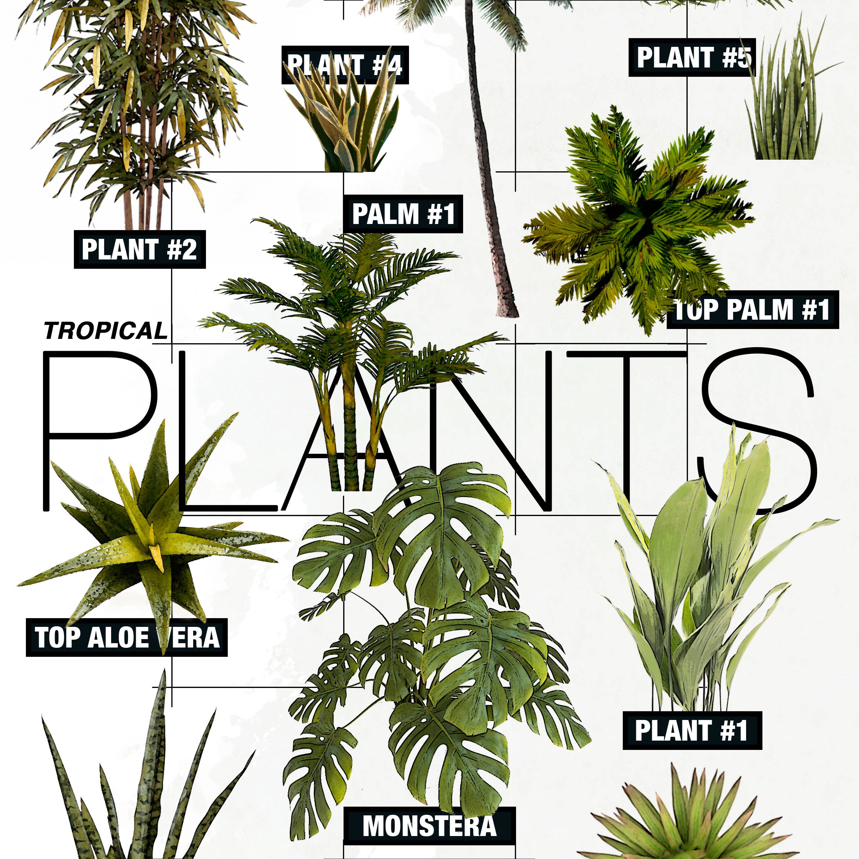Plant Cutout Pack #1 — cutout pack for architectural visualisation, preview 2 of 2