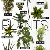 Tropical Plant Cutouts Pack 3: 12 Plants with Top Views (PSD)
