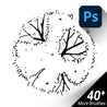 Hand-Drawn / Hand-Sketched / Top View Trees / Photoshop Brushes / SET#01