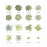 Mega Pack Brushes and Vector Plan Vegetation + Shadows