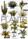 Plant Cutout Pack #3