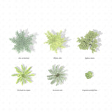 Vector Plan Trees + Shadows 2