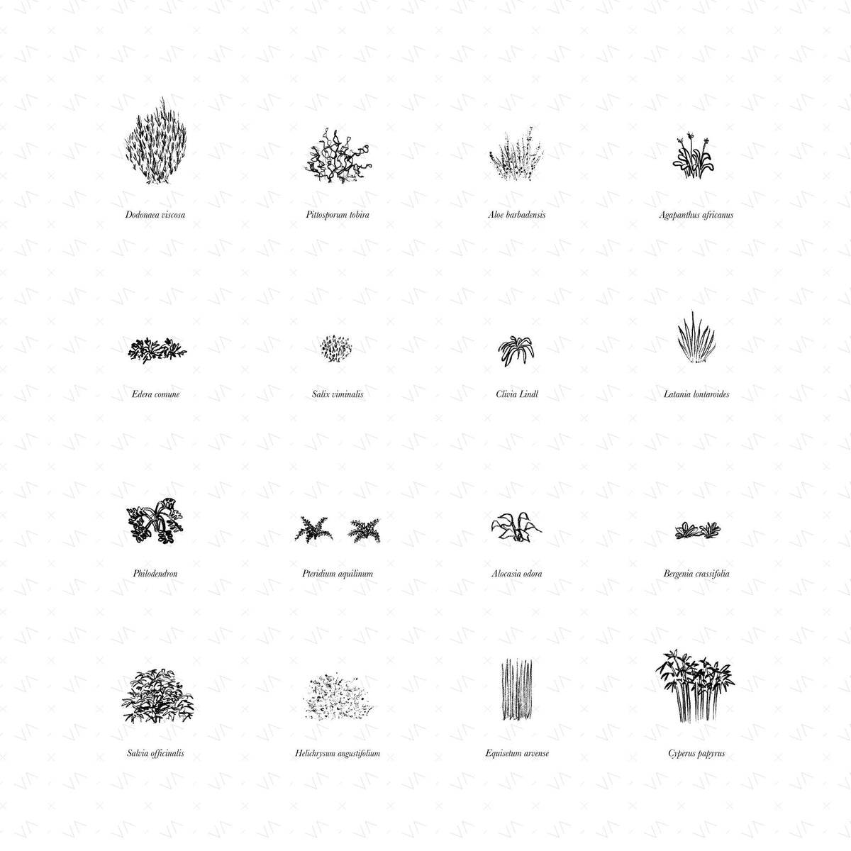 Shrub Illustrations — cutout pack for architectural visualisation, preview 1 of 3