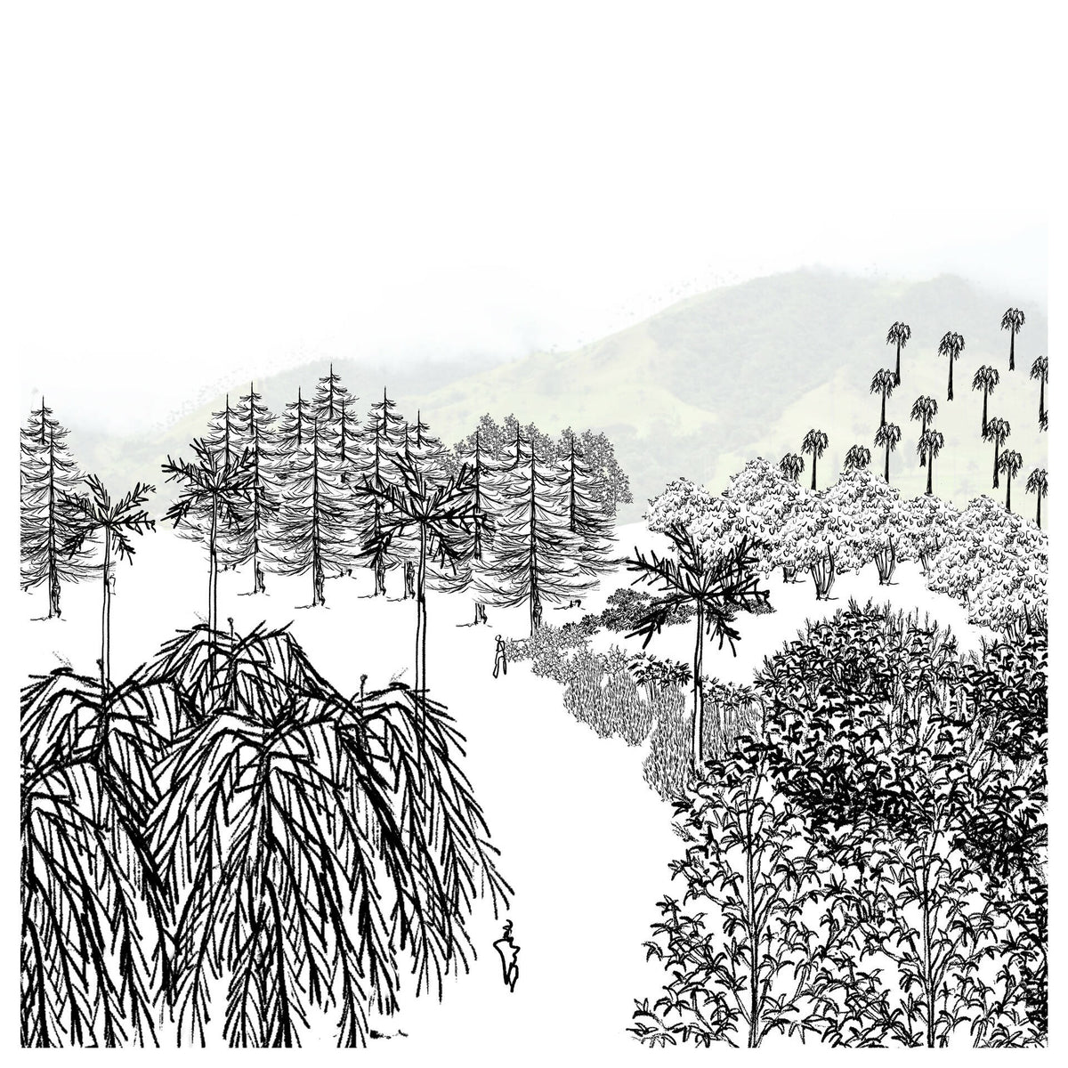 Shrub Illustrations — cutout pack for architectural visualisation, preview 2 of 3