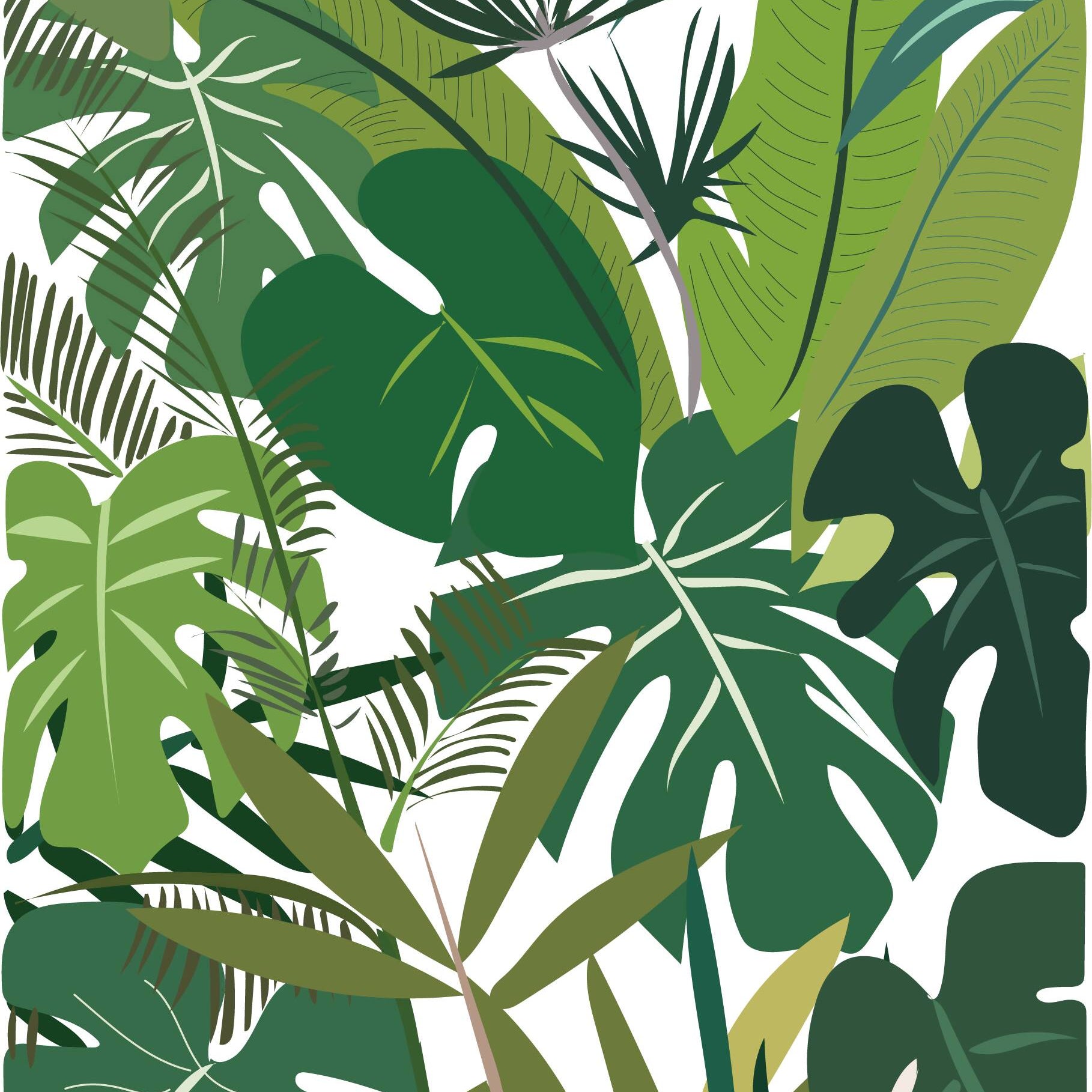 Tropical Plants — cutout pack for architectural visualisation, preview 4 of 7