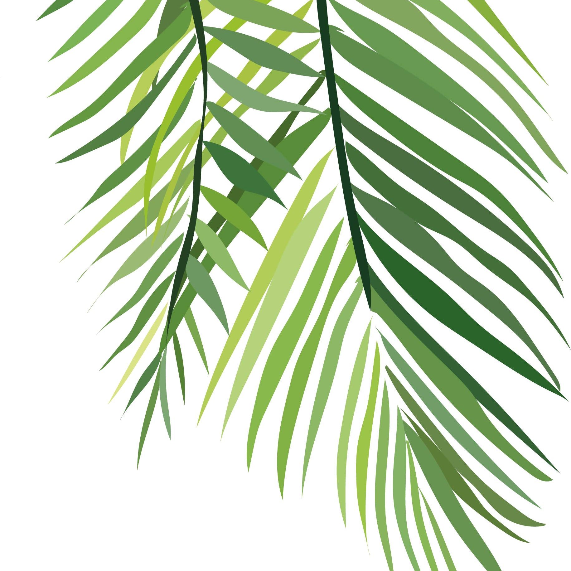 Tropical Plants — cutout pack for architectural visualisation, preview 7 of 7