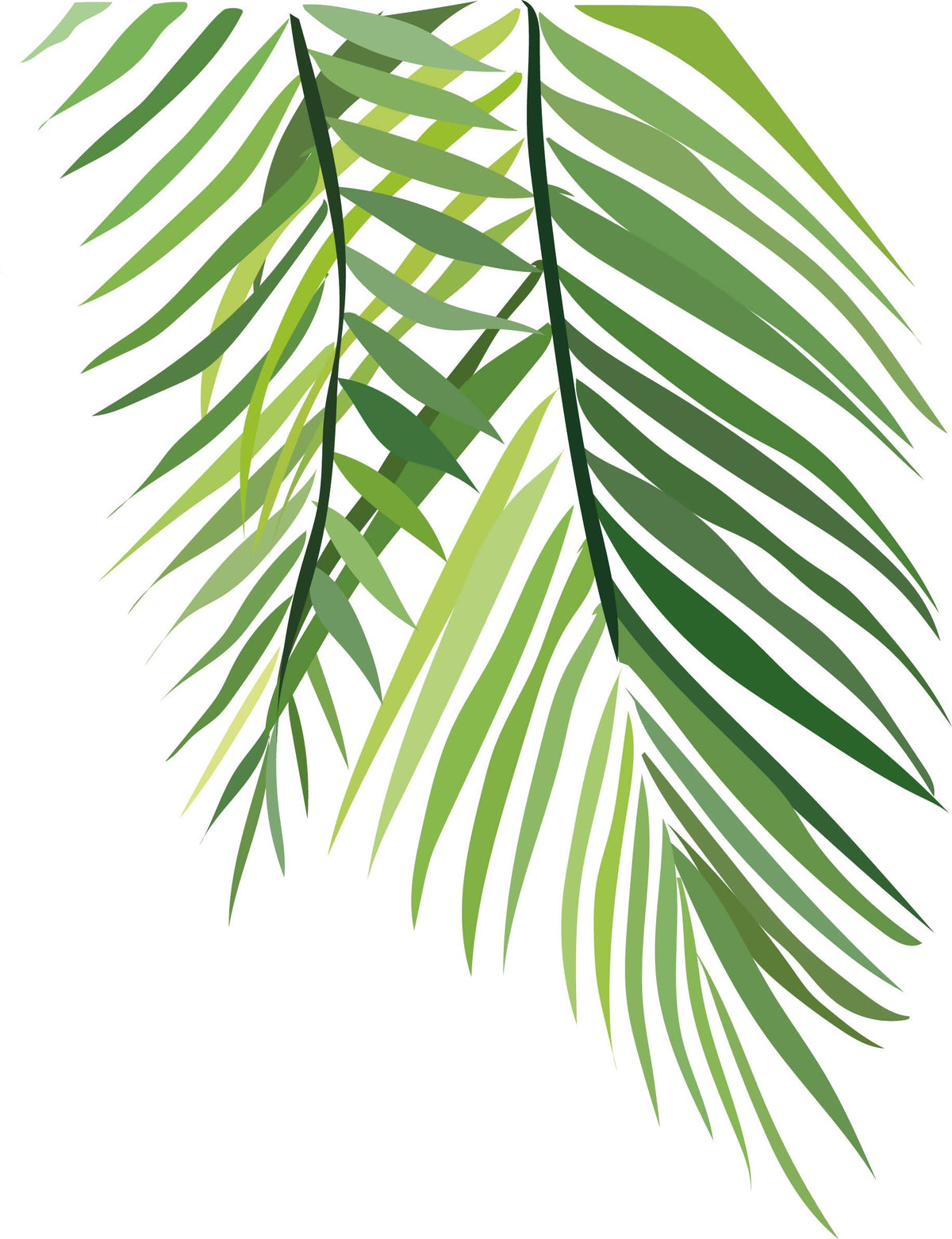 Tropical Plants — cutout pack for architectural visualisation, preview 7 of 7