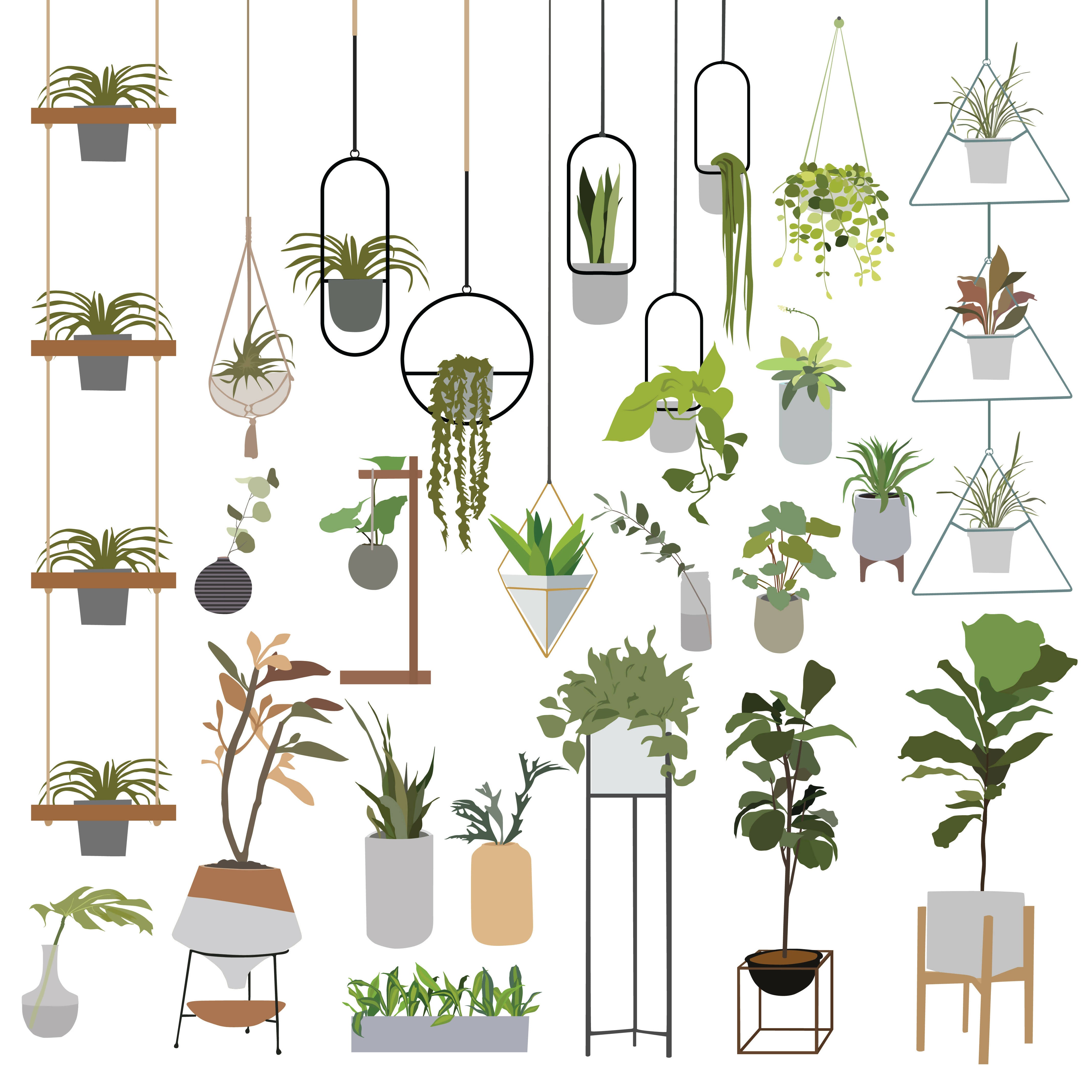 Vector Indoor Plants 02 — cutout pack for architectural visualisation, preview 1 of 4