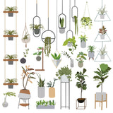 Vector Indoor Plants 02