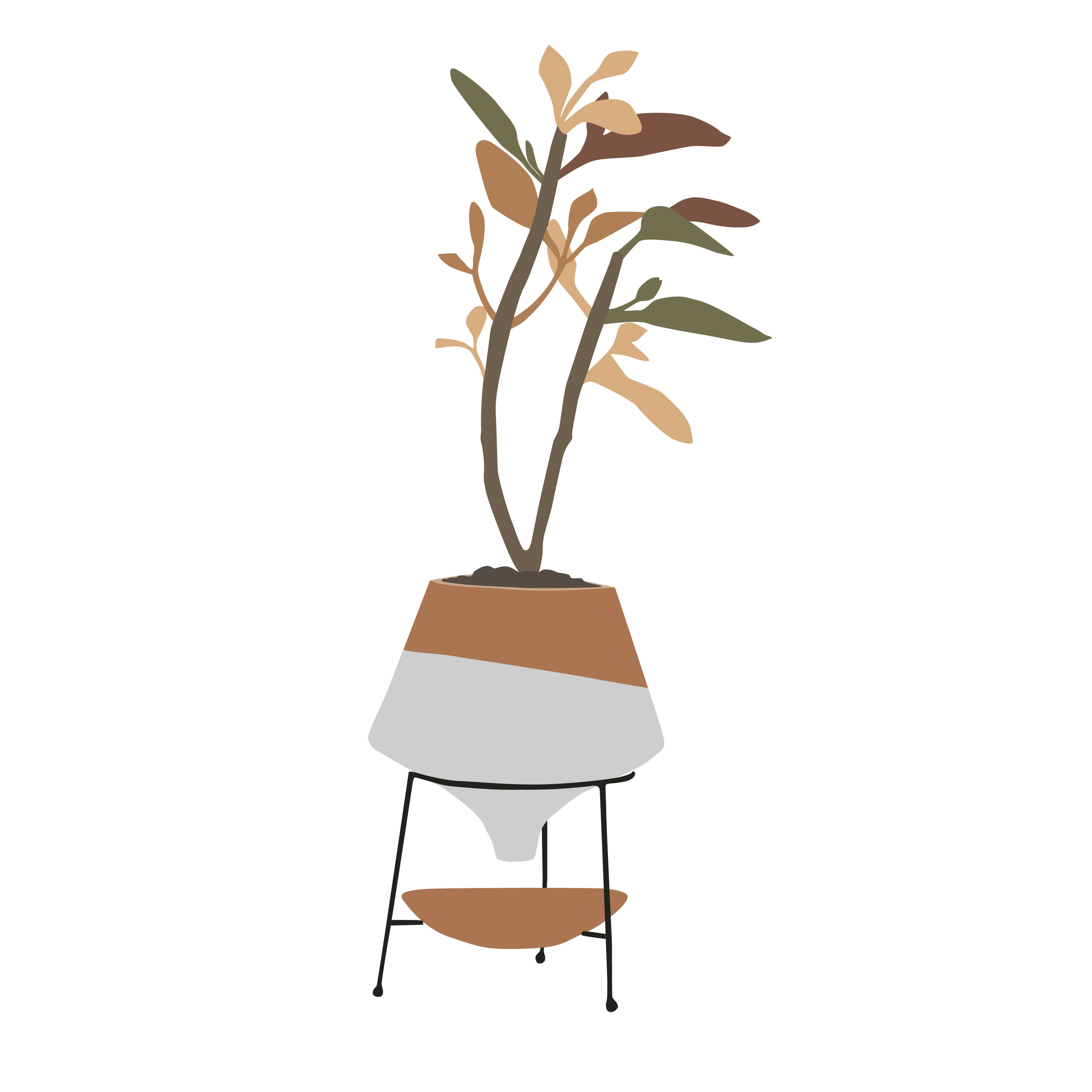 Vector Indoor Plants 02 — cutout pack for architectural visualisation, preview 2 of 4