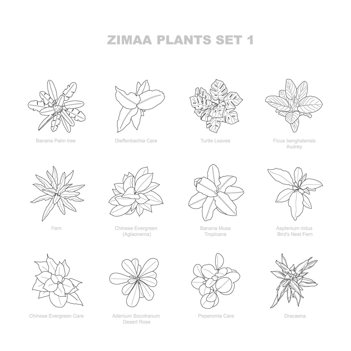 Vector Plants Top view / Set 01 — CAD block set for architectural drawings, preview 1 of 2