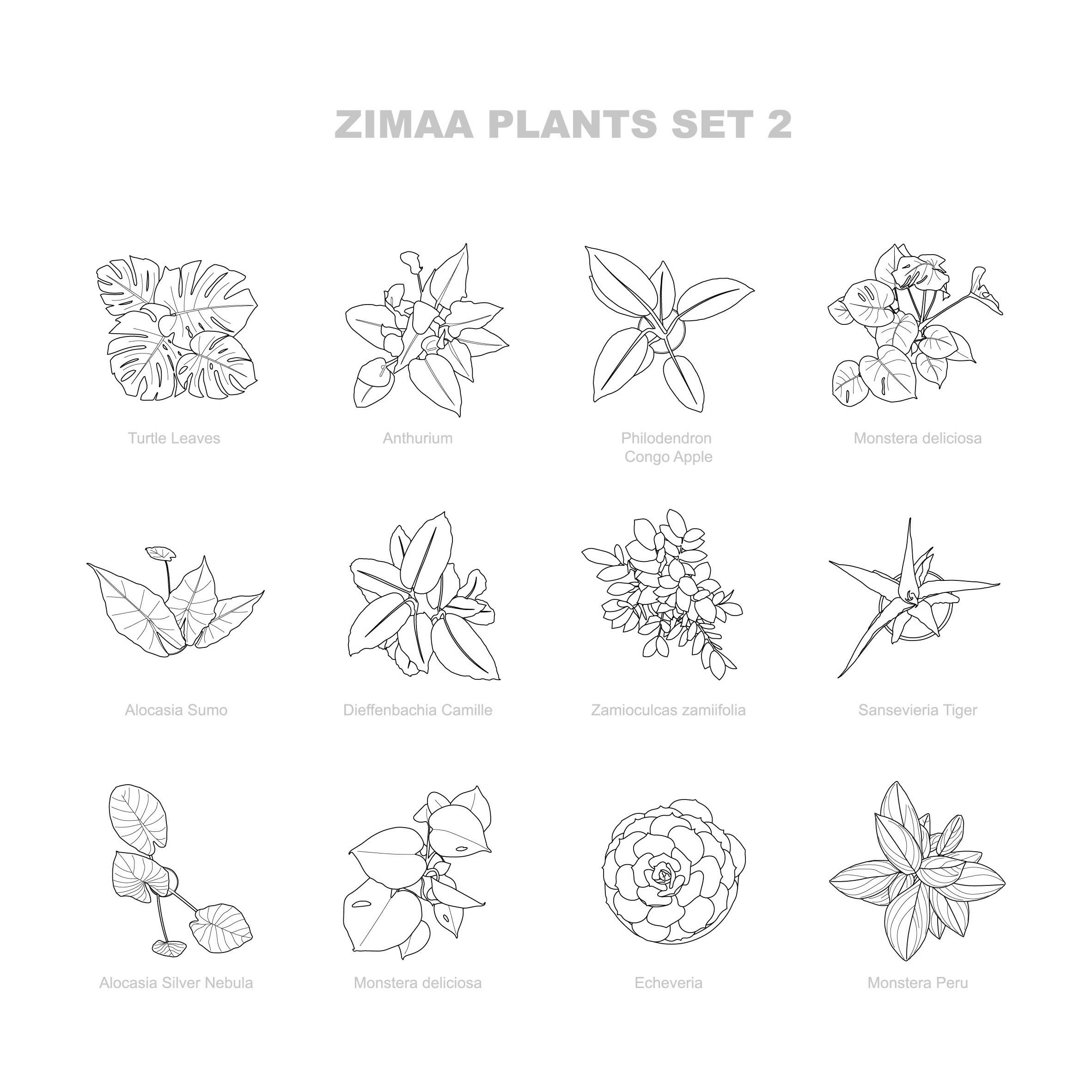 Vector Plants Top View / Set 02 — CAD block set for architectural drawings