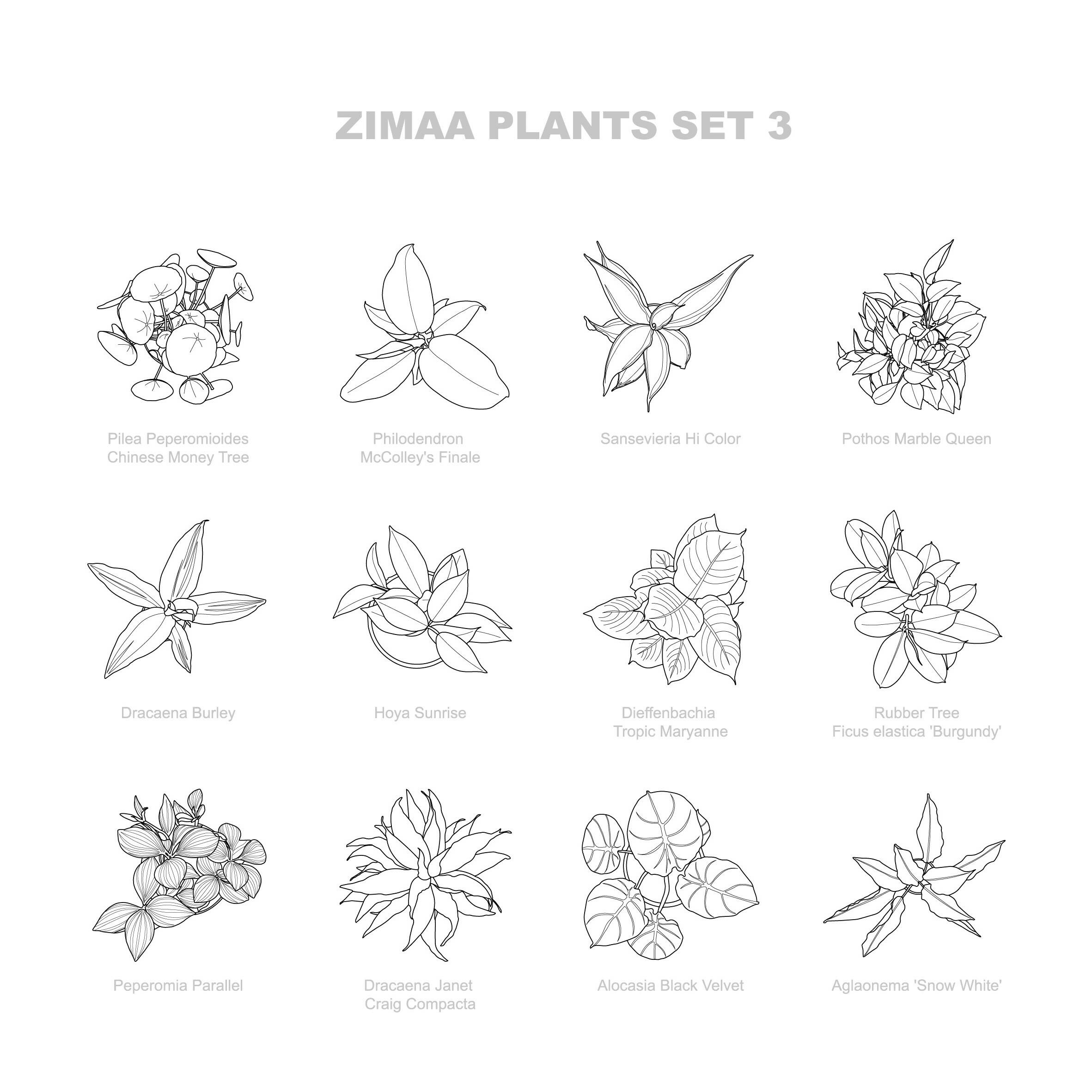 Vector Plants Top View / Set 03 — CAD block set for architectural drawings