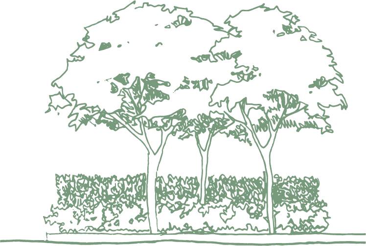 Vector Trees — cutout pack for architectural visualisation, preview 2 of 8