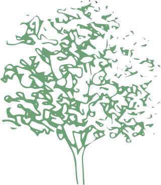 Vector Trees — cutout pack for architectural visualisation, preview 5 of 8