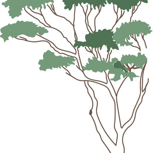 Vector Trees — cutout pack for architectural visualisation, preview 7 of 8