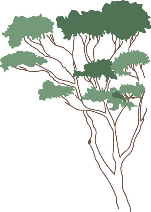 Vector Trees — cutout pack for architectural visualisation, preview 7 of 8