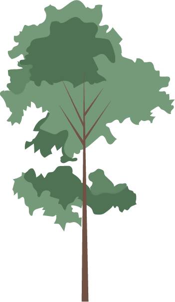 Vector Trees — cutout pack for architectural visualisation, preview 8 of 8