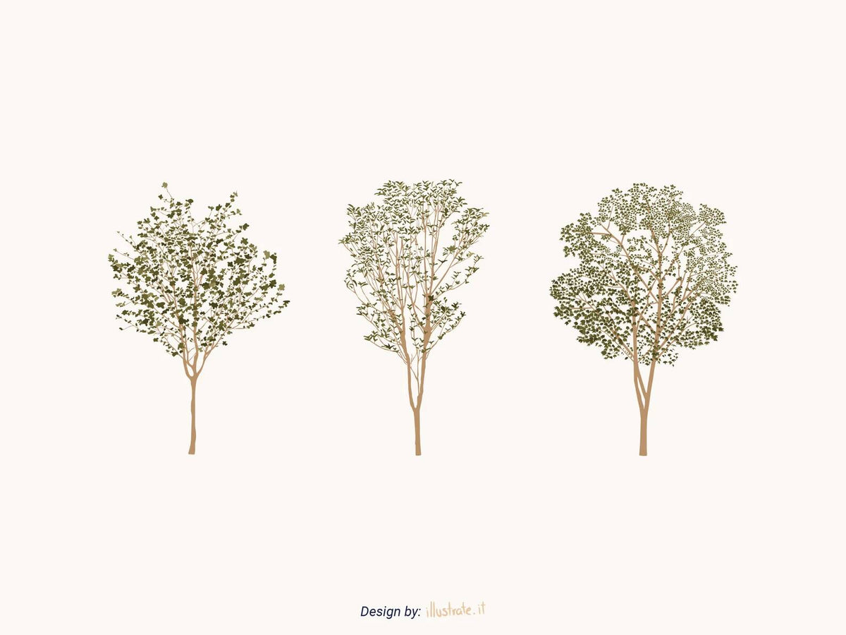 Vector Vegetation Bundle Pack — cutout pack for architectural visualisation, preview 4 of 4
