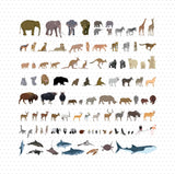Wild Animals and Birds Mega Pack