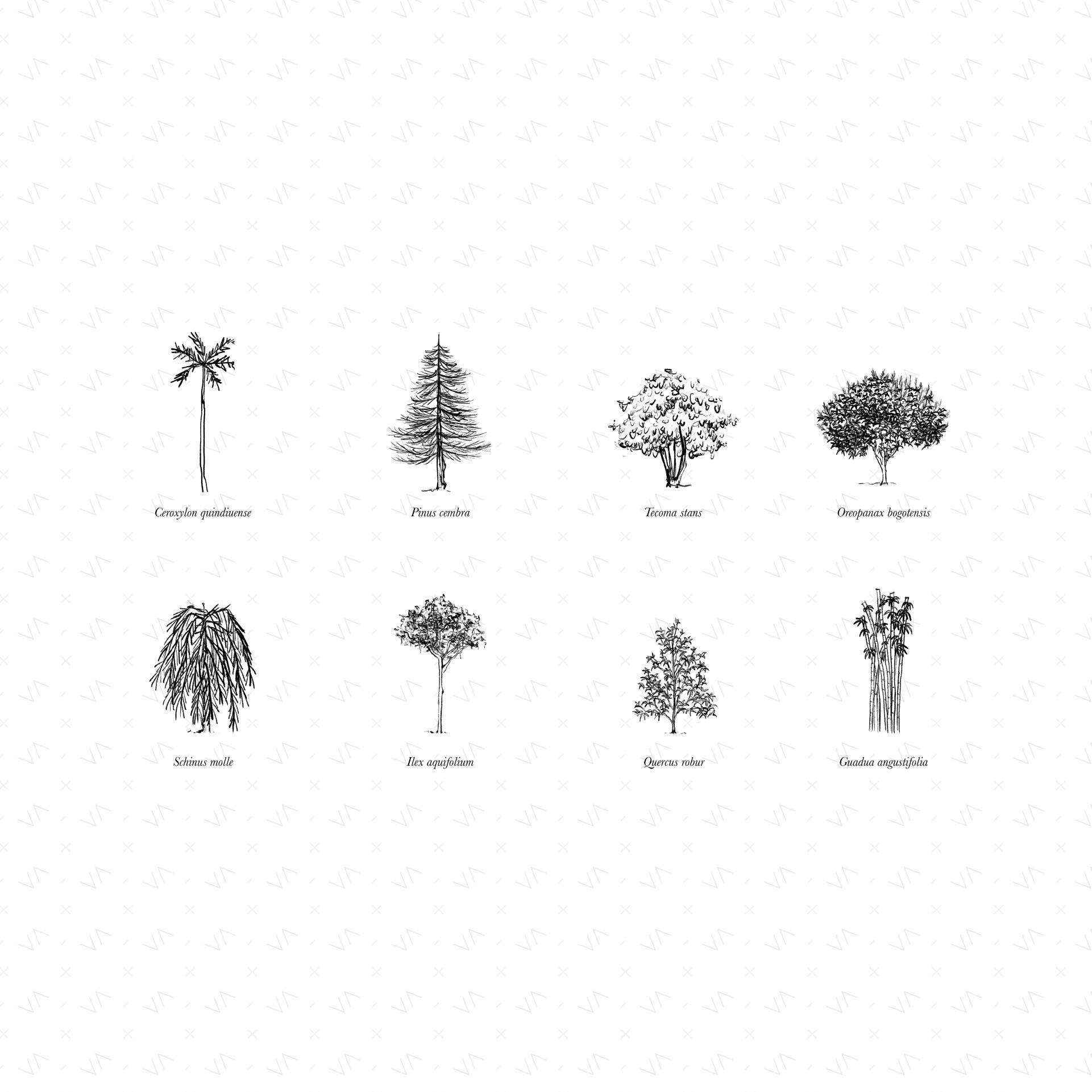 Tree Catalog