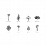 Hand-Sketched Tree Illustrations (8 Species, PNG)