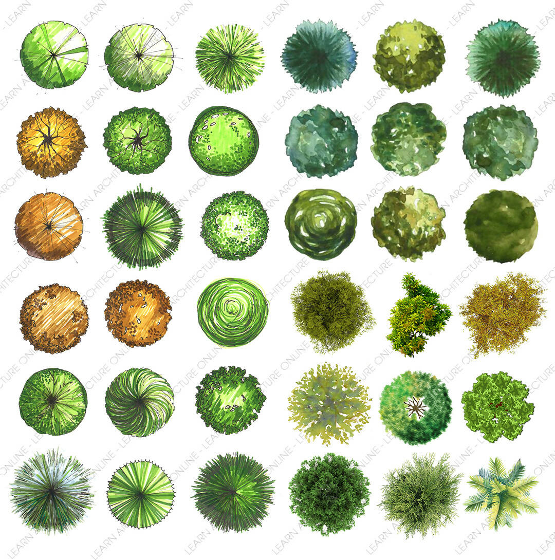 Tree Top Zoominfo at Elizabeth Dunn blog